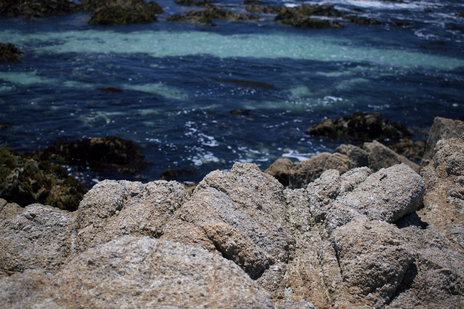 Rocky coves and tide pools line Asilomar State Beach on the western tip of the Monterey Peninsula. The conservancy's Sept. 17 awards totaled $94 million statewide.