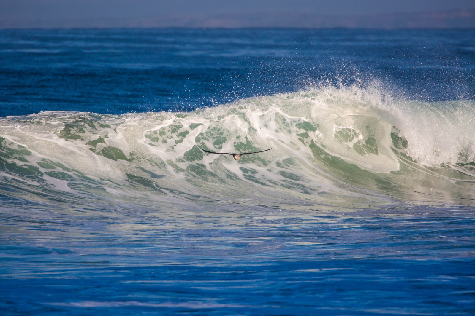 Surf washes Del Monte Beach east of Monterey's harbor. The Peninsula's water future is being decided between recycled water and the ocean.