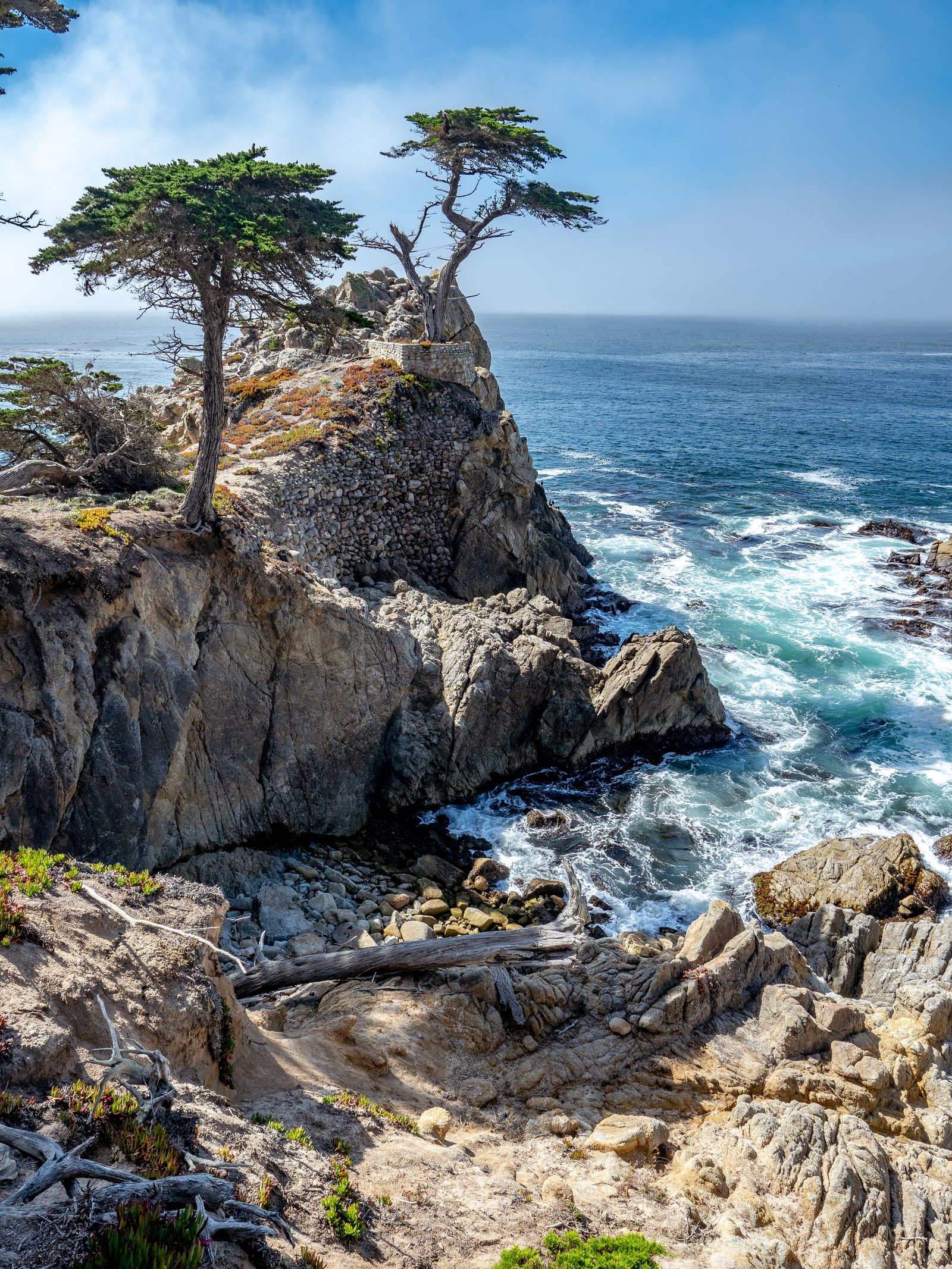 The Lone Cypress clings to its granite perch above the Pacific on 17-Mile Drive. The funding package targets coastal resilience, recreation, traffic safety and public access.