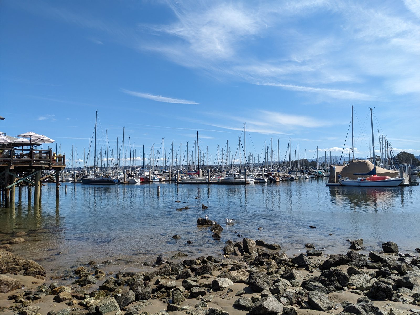 Masts fill the municipal marina as seen from the shore below Old Fisherman's Wharf. The ordinance created about 13 designated vendor spaces at the foot of the Wharf.