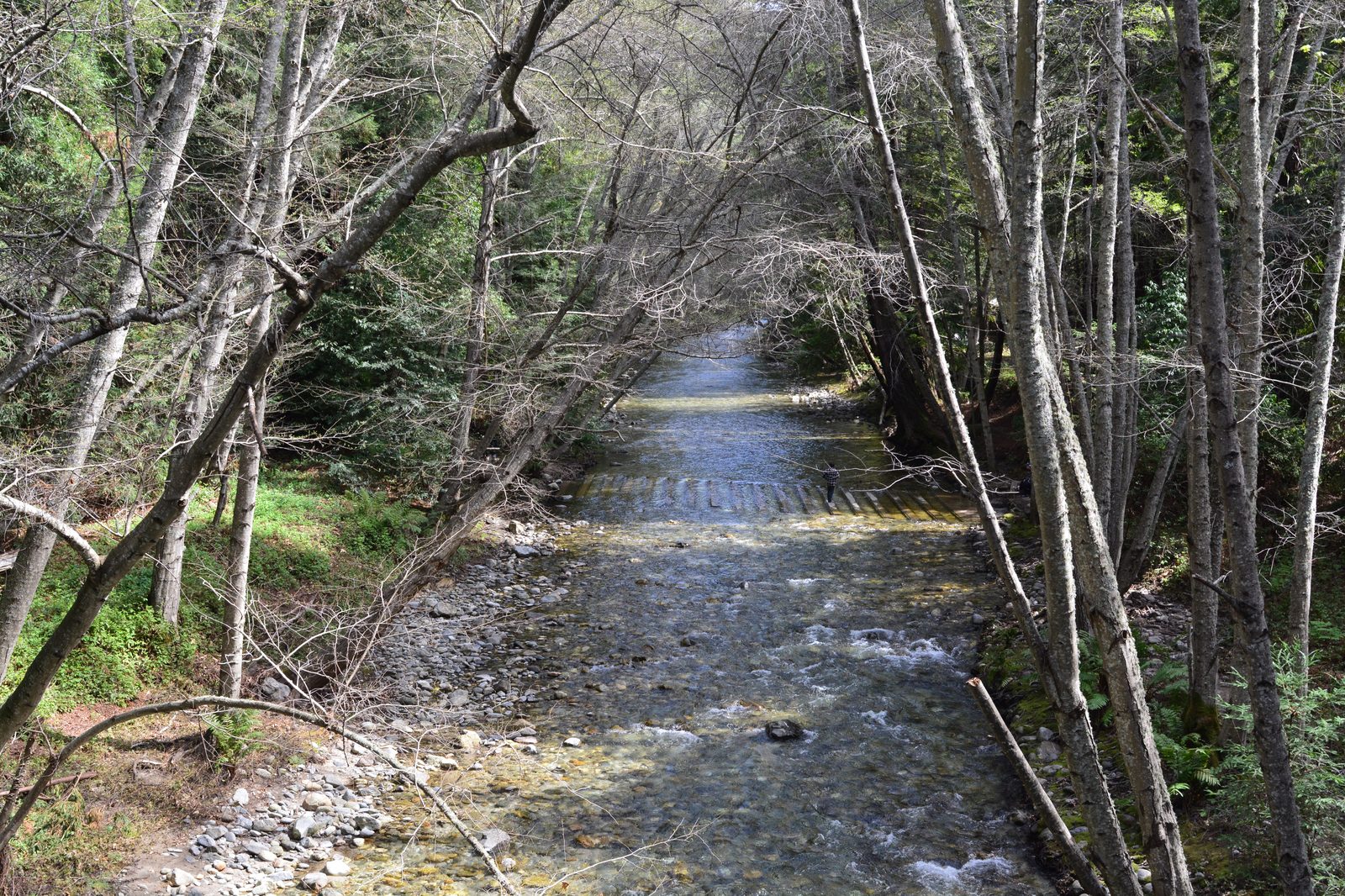 The Big Sur River seen from the bridge on Pfeiffer Big Sur Road. The River Path and Nature Trail reopen Friday; the Big Sur River Gorge Trail stays closed.