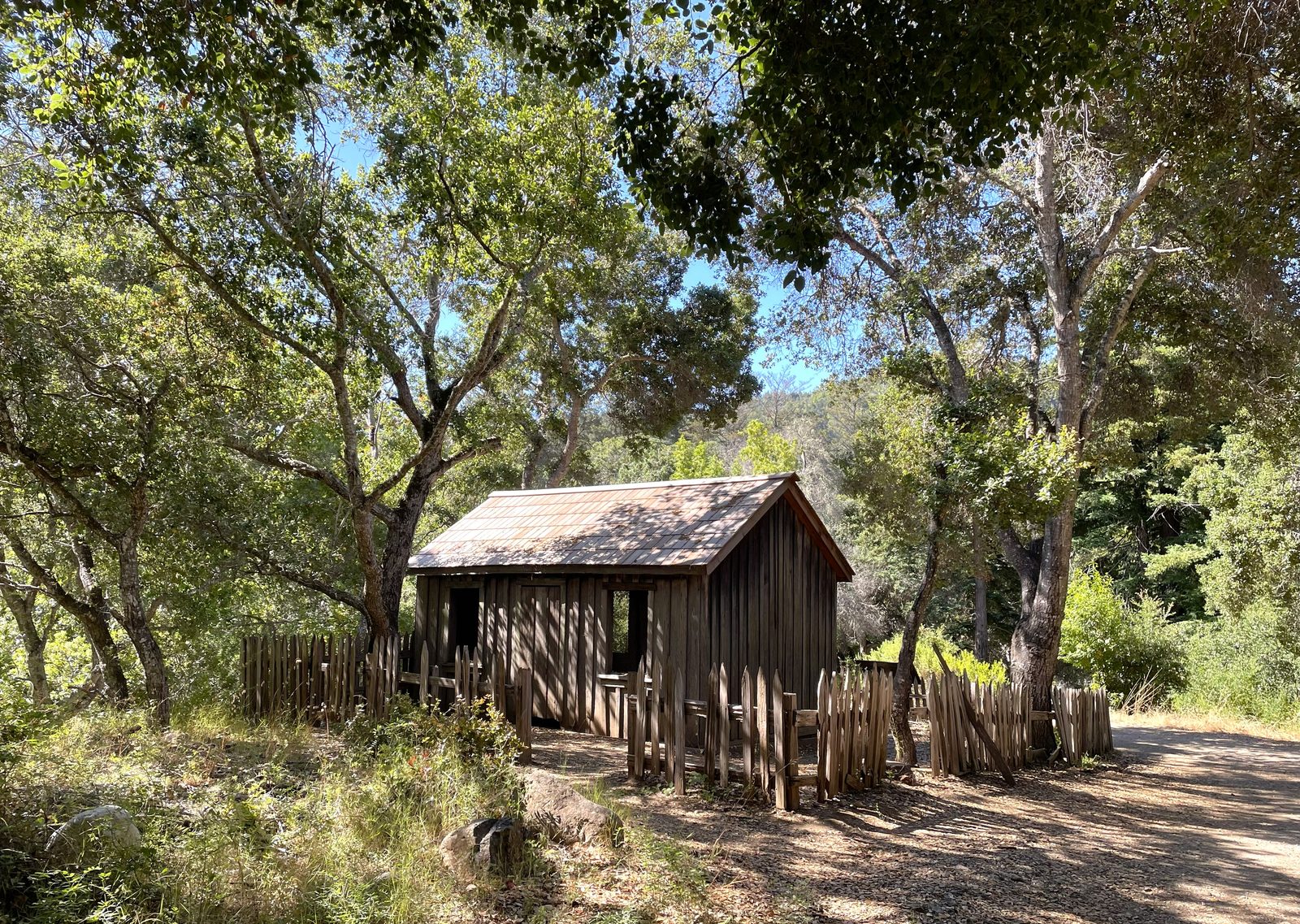 John Pfeiffer's cabin stands among the trees at Pfeiffer Big Sur State Park. The park burned across about 517 acres of its own grounds during the Timber Fire.