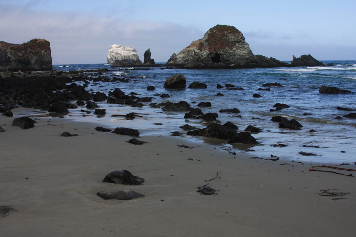 Sand Dollar Beach near Plaskett Creek, on the south Monterey County coast off Highway 1. Sheriff's deputies responded here just after 1 p.m. on Oct. 13 for a report of a missing swimmer, and crews found Trevor Valentine unresponsive near the rocky coastline at the beach's south end.